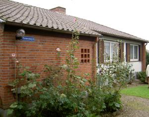 Vorderansicht Ferienhaus (Ferienwohnung) Finkennest in Hohwacht